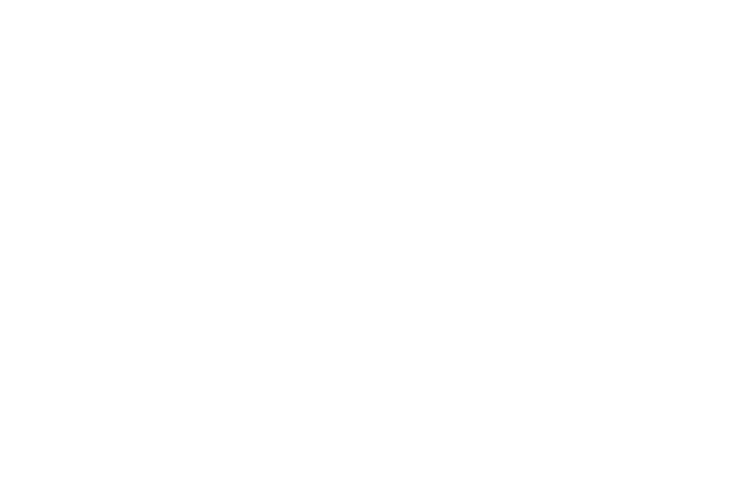 Secure Logistics logo