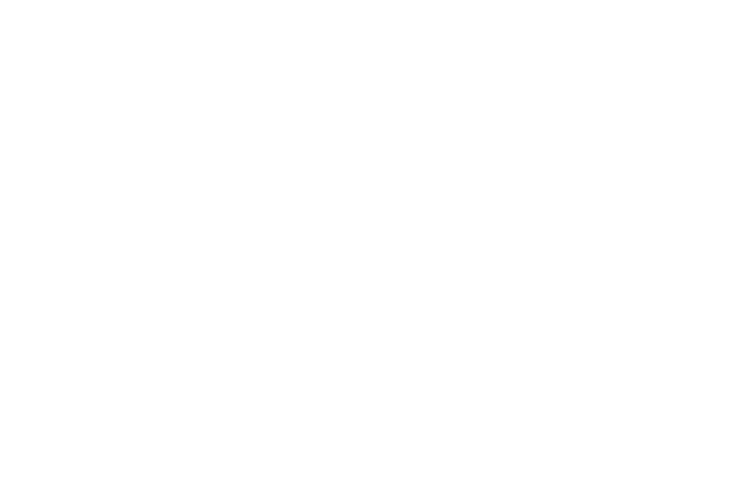 Shine Netwerk logo